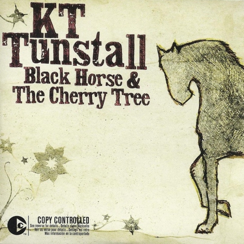 Kt Tunstall
